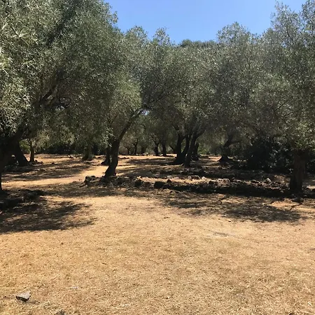 Casa Su Elzu Cuglieri